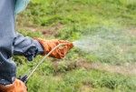 6 erbicide de top de la Agro-Mag