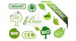 Saptamana Aceasta ZoomBiz Iti Recomanda