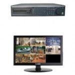 Hrana uscata caini, avantaje si mancare gatita