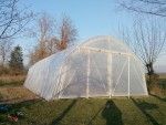 Phoenix Spor Construct- Solarii, sau cum sa cultivi legume sanatoase si gustoase!