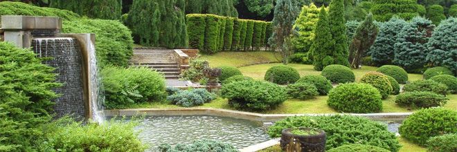 Servicii complete de ecarisaj doar prin Alvi Serv