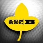 Biochem A: protezeaza lemnul cu Zendol B-antisptizant lemn. Protectie totala si actiune multipla
