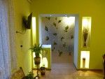 Pentru motocultoare fiabile accesati site-ul agromoto.ro!