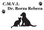 Cabinet veterinar C.M.V.I. Dr. Borza Rebeca- asigura animalului dvs. o ingrijire atenta in cele mai bune conditii