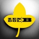 Pentru protejarea lemnului alege Zendol B