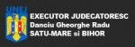 Executare dispozitii judecatoresti – ai incredere in servicii oferite de Birou Executor Judecatoresc Danciu Gheorghe Radu!