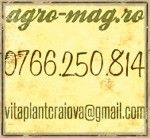 Axa Service - expertul tau in poduri rulante