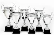 trofeea.ro încurajează ambiția oferind o gama variată de trofee, medalii, cupe ieftine, etc.