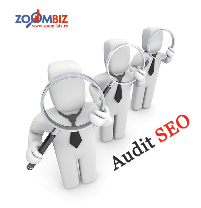 audit seo