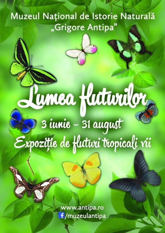 expozitie de fluturi tropicali vii