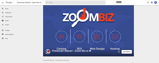 promovare online eficienta