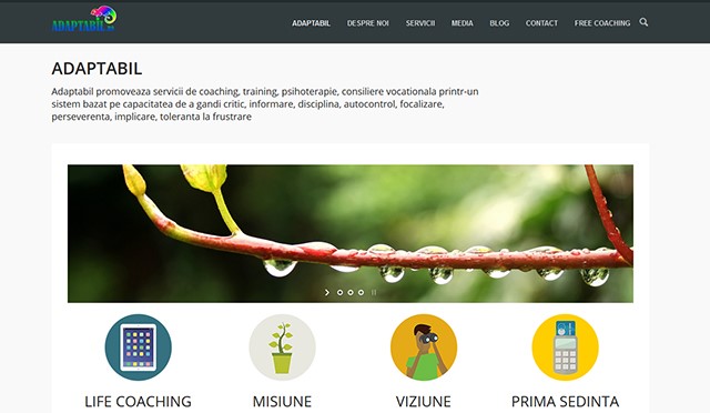 psihoterapeut Bucuresti