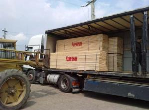 Cherestea rasinoase Bacau