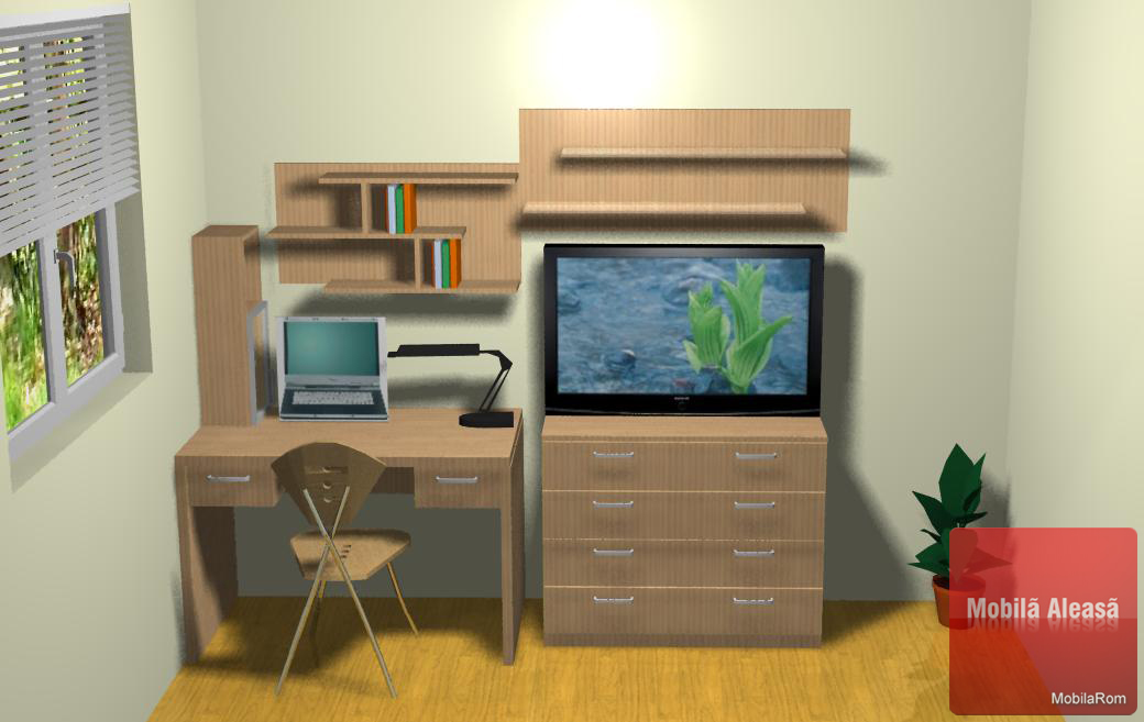 Mobilier birou Bacau