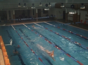 Bazin inot Satu Mare