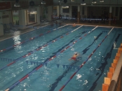 Bazin inot Satu Mare