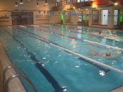 Bazin inot Satu Mare