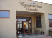 Bazin inot Satu Mare
