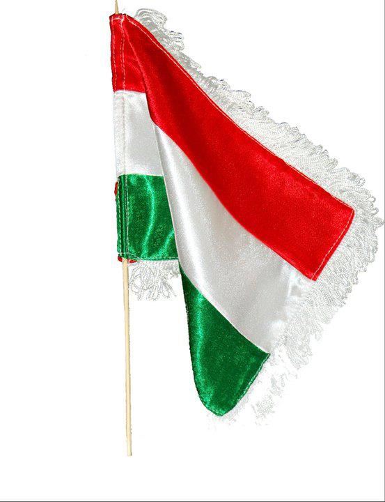 Steaguri si stegulete