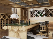 Proiect design interior