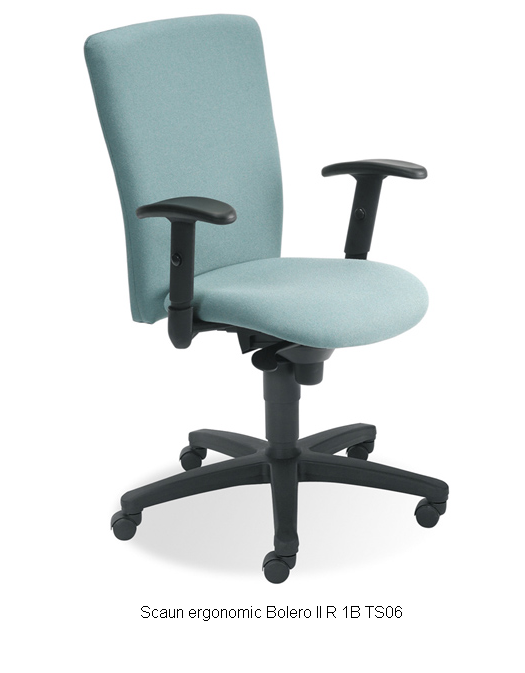 Scaune ergonomice Bucuresti