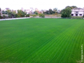 Proiectare terenuri sportive