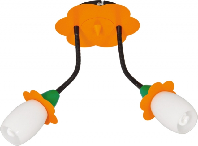 Lustre copii