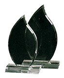 Trofee din sticla