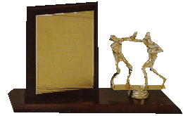 Trofee sportive Mures