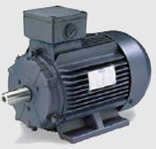 Motor electric cu frana