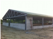 Constructii hale metalice Vrancea