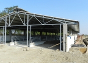Constructii hale metalice Vrancea