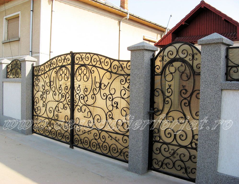 Porti fier forjat Craiova