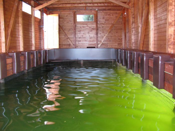 Perne protectie ponton