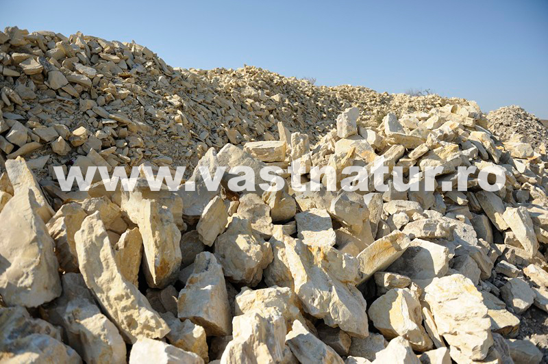 Piatra ornamentala gradina