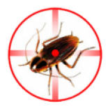 Dezinsectie Galati