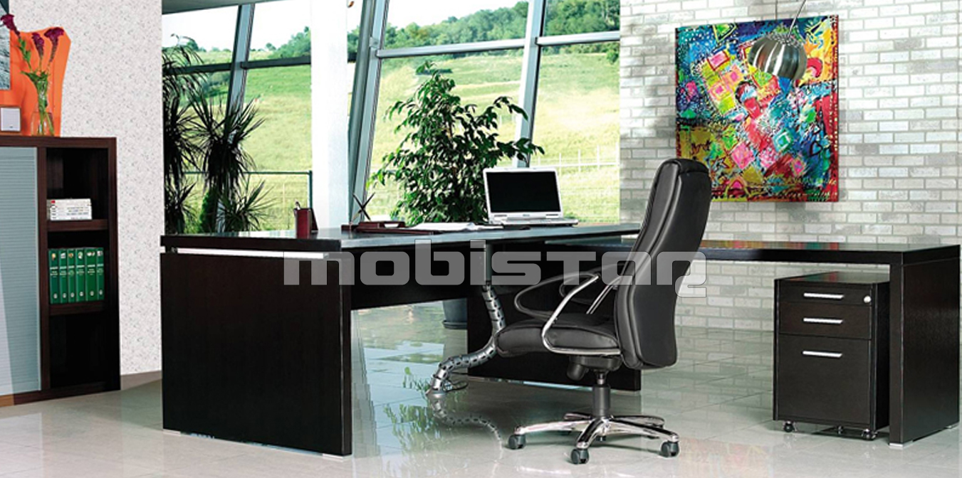 Mobilier lemn masiv birou