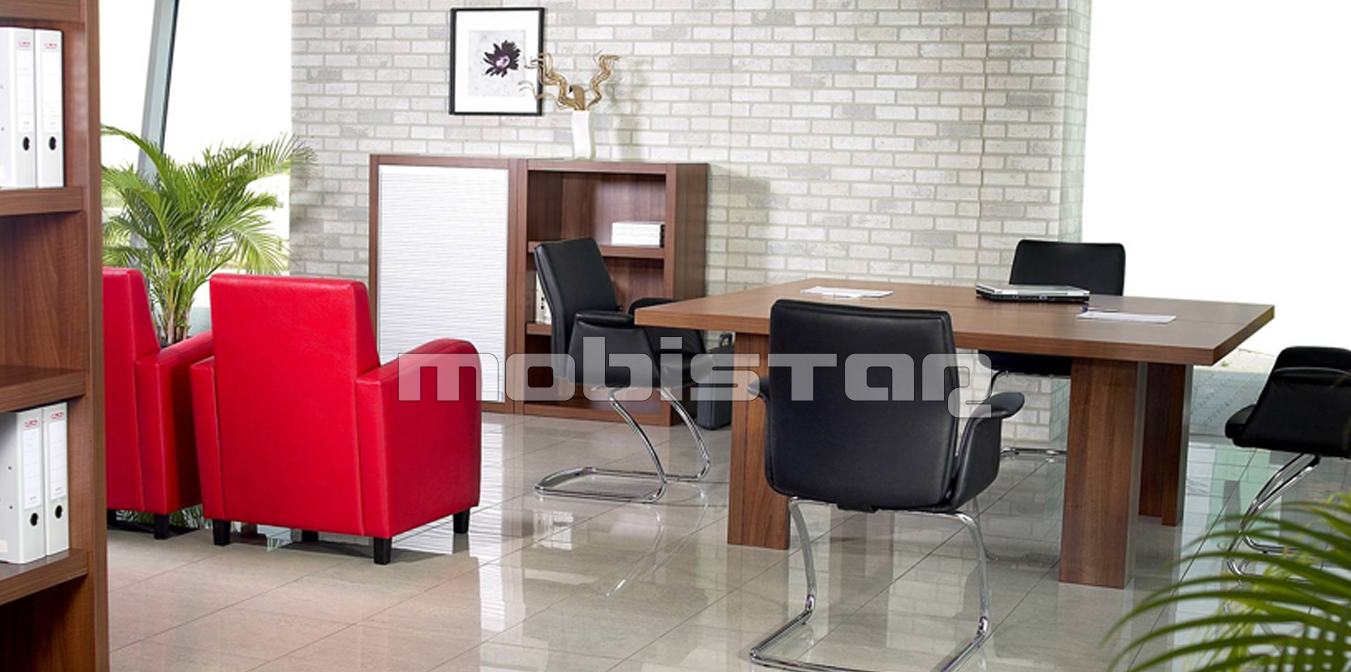 Mobilier lemn masiv birou