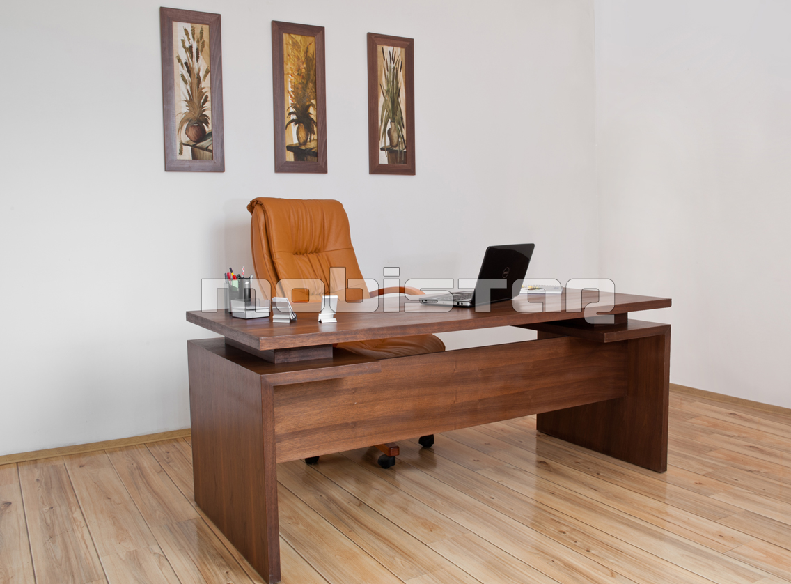 Mobilier lemn masiv birou