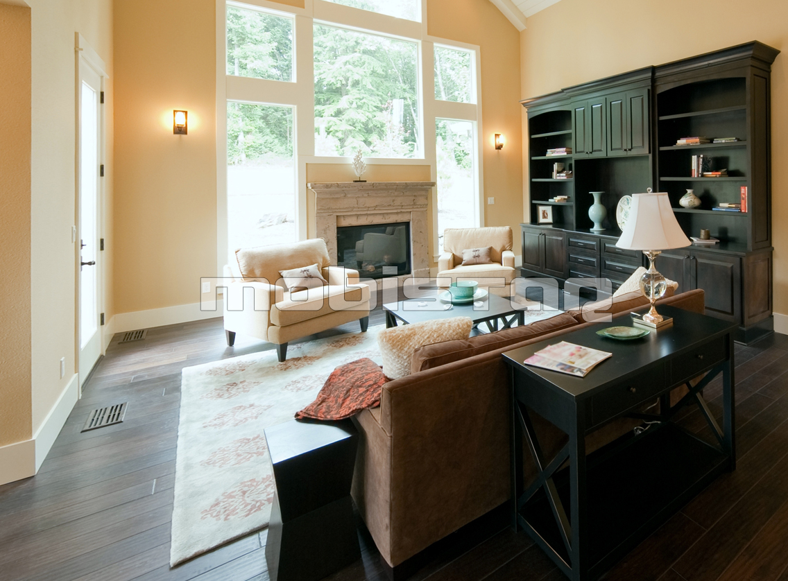 Mobilier lemn masiv living
