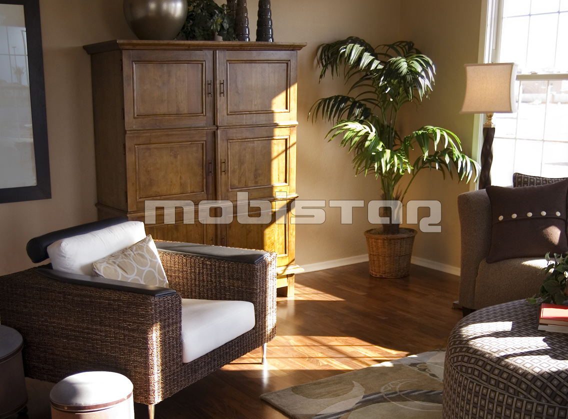 Mobilier lemn masiv living
