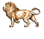Universal Confort