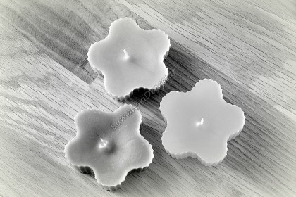 Lumanari plutitoare - model floare zimtata - alb