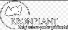 Proiectare foisoare