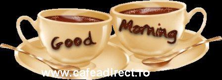 Cafea Illy