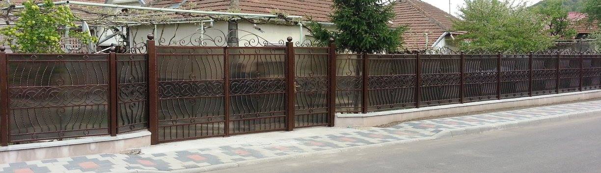 Porti fier forjat Bacau