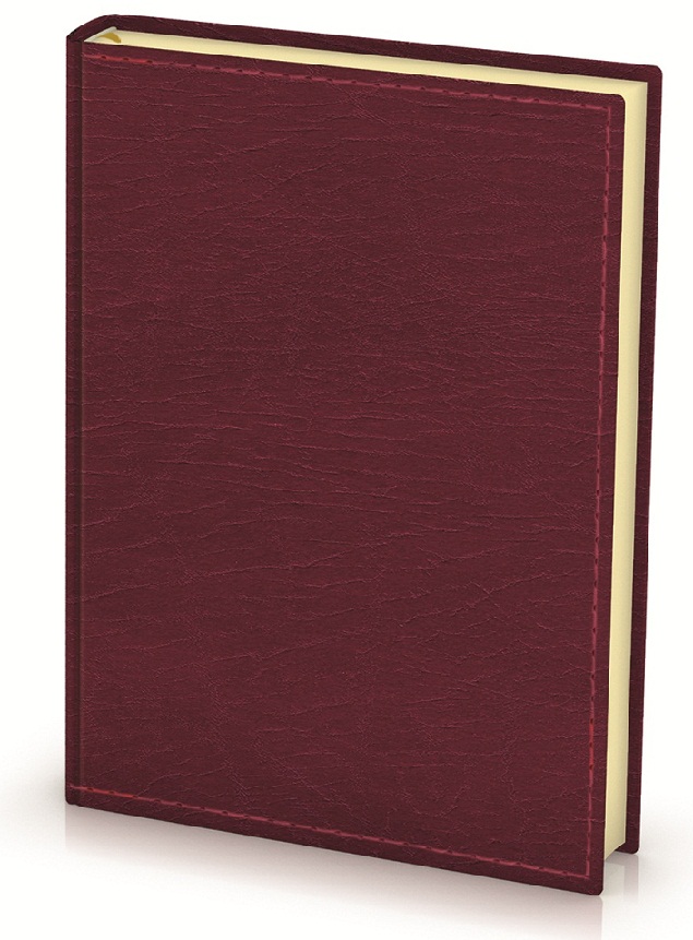 Agende 2014 promotionale