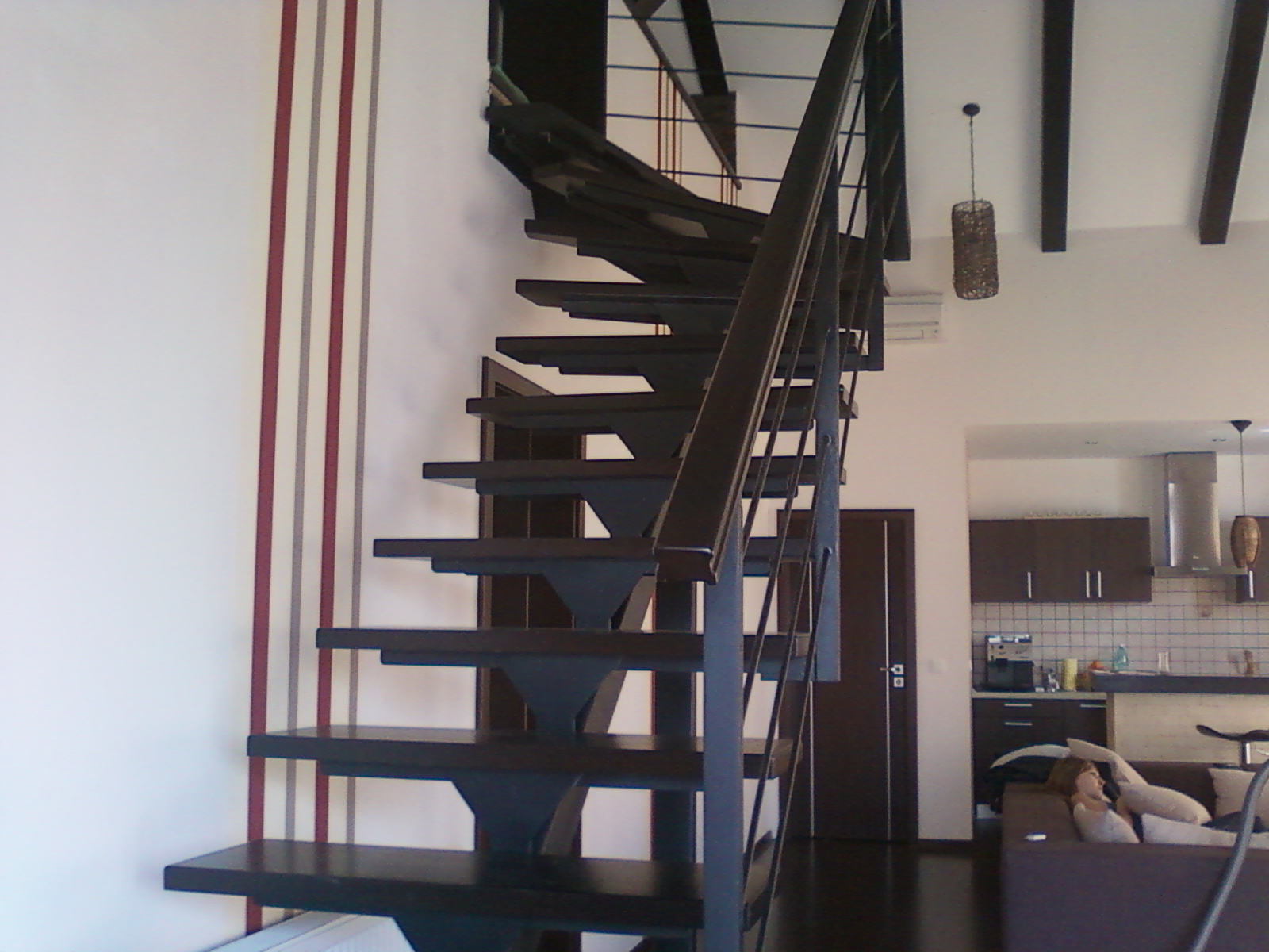 Scari interioare Timisoara