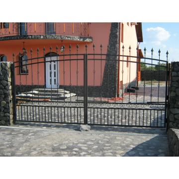Porti fier forjat Timisoara