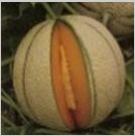 Seminte pepene galben